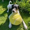 Yuna2 verschmust und gesellig 05/24 DE