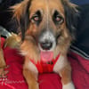 Besuche Grace in 64711 Erbach ❤