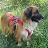 Besuche Grace in 64711 Erbach ❤