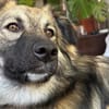 Ria sucht ihr Traumzuhause