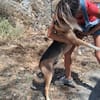 Aufgeschlossen freundlich Rudolph