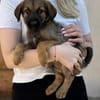 Taro wünscht sich eine eigene Familie