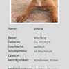 hübsche Valeria 🤩
