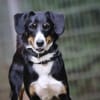 Luna sucht ein Zuhause