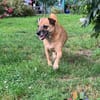 BELLA sucht ihr Glückskörbchen