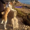 Cracker ein treuer Begleiter 10/21 DE PS