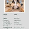 hübsche Velia 🥰🥰🥰