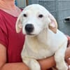 Biba sucht ein neues Zuhause