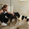 Möchten Sie Peppe adoptieren?