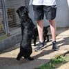 Dasty möchte Ihr Leben bereichern