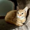 Ronny (réservée)