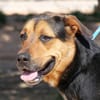 TRUMAN  (Martina)