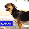 TRUMAN  (Martina)