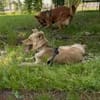 🆘DRINGEND PS oder Endtselle gesucht🆘
