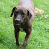 Angelina Pflegestelle in Hessen