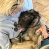 MILLA - sanfte&verschmuste Hundedame