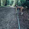 Frodo - ein toller Kerl !
