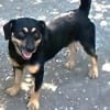 Liebenswerter Teo sucht Familie
