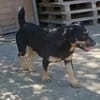 Liebenswerter Teo sucht Familie