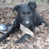 Angy sucht ihre Familie