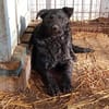 Angy sucht ihre Familie