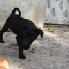 Angy sucht ihre Familie