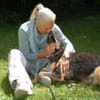WILHELMINCHEN- bezauberndes Hundemädchen