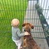 Kayo -zur Pflege in 23701 Bockholt-
