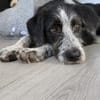 Liebe Paula, sucht ihre Familie