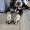 Liebe Paula, sucht ihre Familie