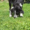 Liebe Paula, sucht ihre Familie