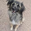 PELOSO 💙 liebenswerte Menschen gesucht
