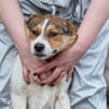 Irmgard❤sucht Körbchen fürs Leben