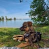 Hundekind Finya