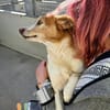 Junior auf Pflegestelle