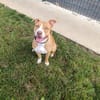 NALA
