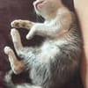 SUNNYetVIBES à l adoption
