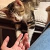 SUNNYetVIBES à l adoption