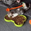 SUNNYetVIBES à l adoption