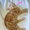 JANE