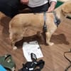 Luna die Süße!
