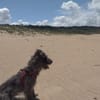 Murphy