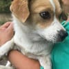 Levi, ein neuer Start, ein neues Glück