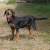 Talia - eigene Familie gesucht
