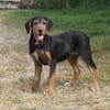 Talia - eigene Familie gesucht
