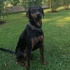 Axel Junior - PS in 53347 Alfter