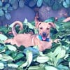 Neugierige & freundliche Frida sucht