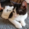 THEA