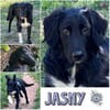 JASNY * freundlich schüchtern
