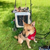 Lita aus Bochum